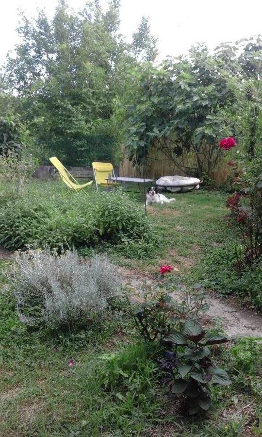 Le Jardin Du Controleur Apartamento Valence-d'Agen Exterior foto